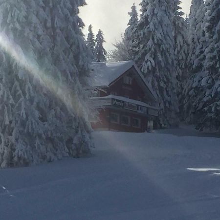 Auerhahn Hotel Feldberg  Eksteriør billede