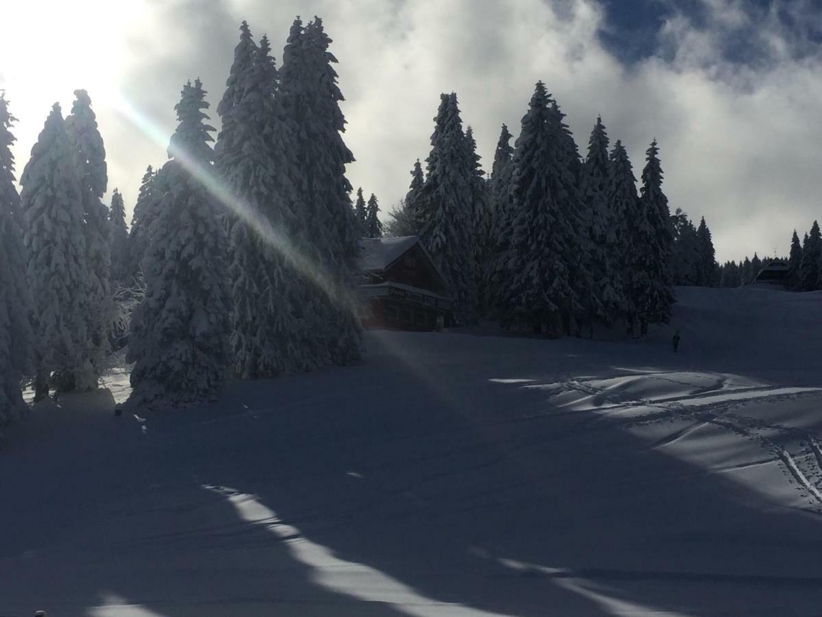 Auerhahn Hotel Feldberg  Eksteriør billede