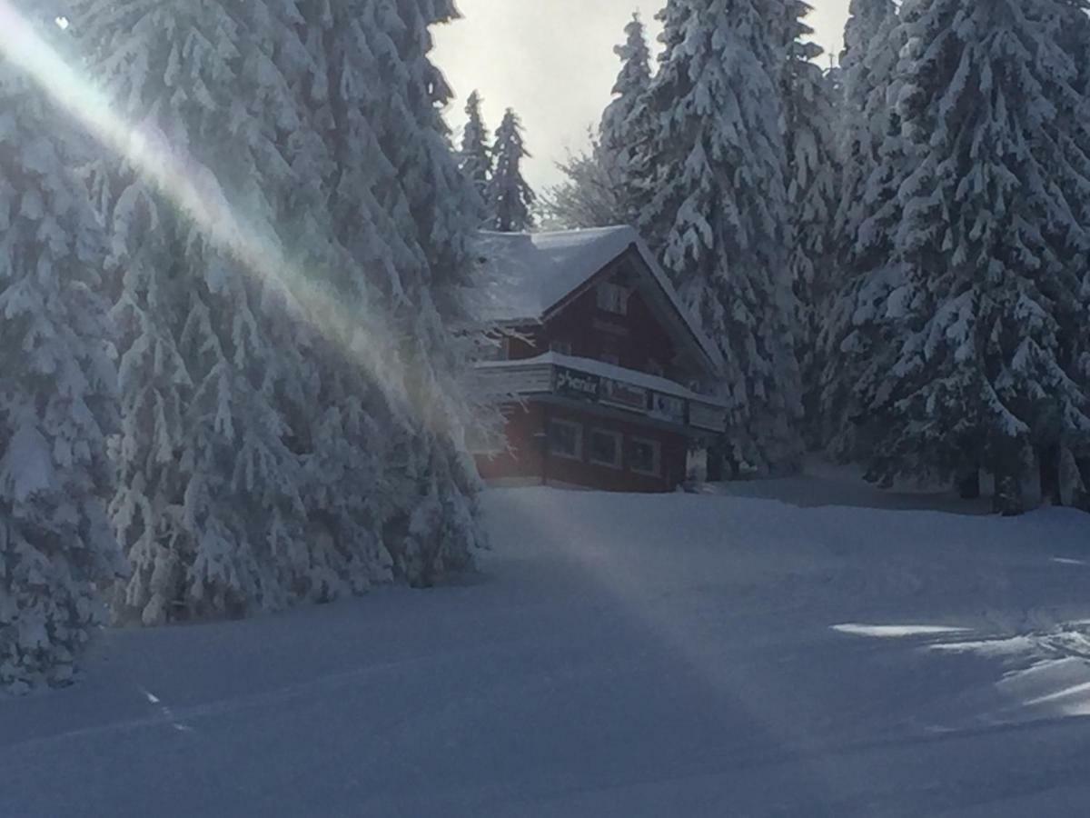 Auerhahn Hotel Feldberg  Eksteriør billede